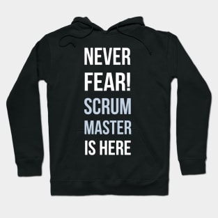 Developer Never Fear The Scrum Master is Here Hoodie